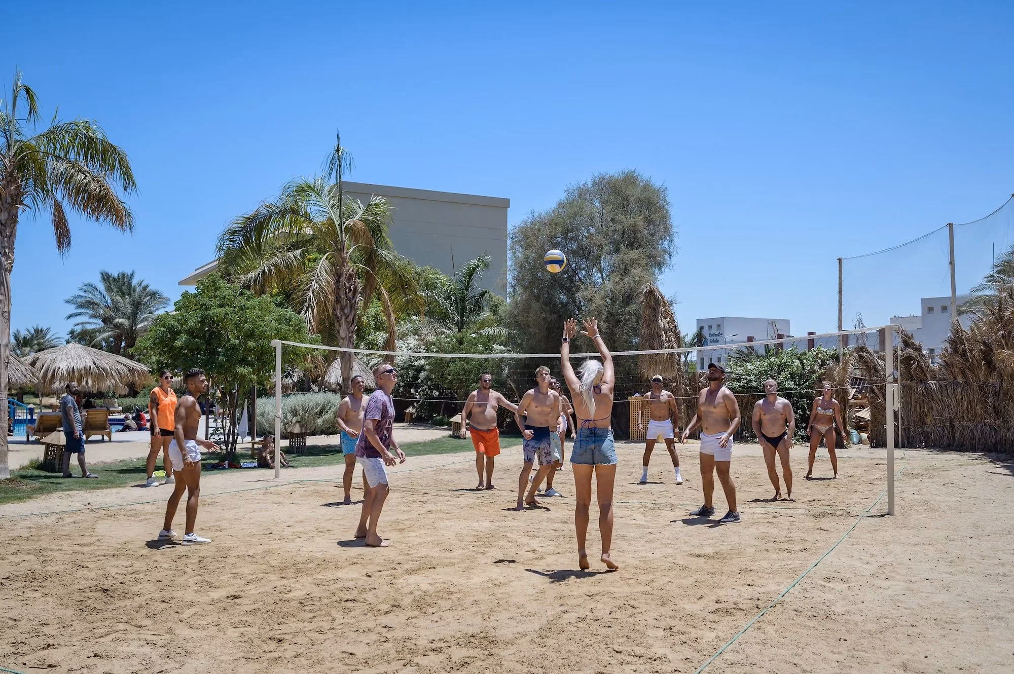 Groep gasten die volleybal speelt op een zandveld met een net, tussen palmen en een hotelgebouw, bij Sindbad Club in Hurghada